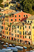 Italien, Ligurien, Riviera ligure, Naturpark von Portofino, Dorf Portofino