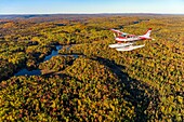 Kanada, Provinz Quebec, Region Mauricie, Flug mit der Firma Hydravion Aventure im Altweibersommer, Cessna 206 über dem borealen Wald (Luftaufnahme)