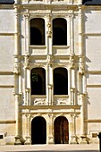 France, Indre et Loire, Loire Valley listed as World Heritage by UNESCO, castle of Azay le Rideau, built from 1518 to 1527 by Gilles Berthelot, Renaissance style, honor staircase, Salamander symbol of King Francois 1