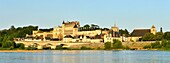 Frankreich, Indre et Loire, Loire-Tal, von der UNESCO zum Weltkulturerbe erklärt, die Loire-Kais und das Schloss von Amboise