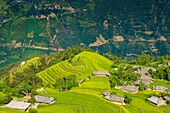 Vietnam, Ha Giang, Hoang Su Phi, a La Chi erthnic group village among rice fields in terrace