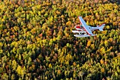 Kanada, Provinz Quebec, Region Mauricie, Flug mit der Firma Hydravion Aventure im Altweibersommer, Cessna 206 über dem borealen Wald (Luftaufnahme)