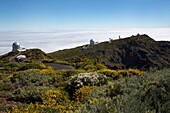 Spanien, Kanarische Inseln, Insel Palma, Roque de Los Muchachos, Teleskope des Astronomischen Observatoriums von La Palma mit Blick auf ein Meer von ?