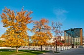 Frankreich, Paris, Andre Citroën Park im Herbst