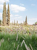 Marokko, Marrakesch, Beldi Country Club, Geschichte: Märchenhafter Rosengarten