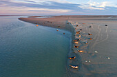 Frankreich, Somme, Baie de Somme, Le Hordel, die Seehunde auf ihrem Lager bei Ebbe (Luftaufnahme)