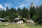 Frankreich, Savoie, Berg der Vanoise, Pralognan Vanoise, eine Familie wandert mit einem Esel durch den Weiler Cholliere