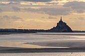 France, Manche, Vains, Mont Saint-Michel Bay listed as World Heritage by UNESCO, Abbey of Mont Saint-Michel at sunset