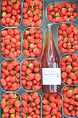 France, Oise, Crisolles, Rimbercourt farm, strawberry trays with a bottle of sparkling strawberry nectar (without alcohol)