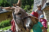 Frankreich, Savoyen, Vanoise-Massiv, Pralognan la Vanoise, eine Familie, die mit einem Kind unterwegs ist, durchquert den Cholliere-Hügel, das kleine Mädchen umarmt das Kind