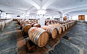 Portugal, Alentejo region, town of Vila Santa, winery of Joâo Portugal Ramos