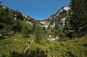 France, Haute Savoie, Bornes massif, hike to Parmelan, itinerant trek day 2, in the descent to the collar of Pertuis