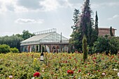 Morocco, Marrakesh, Beldi Country Club, Story: Fairytale rose garden