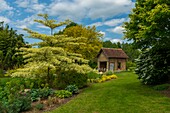 Frankreich, Calvados (14), Cambremer, die Gärten des Pays d'Auge und ihr Ökomuseum klassifizierter bemerkenswerter Garten im Frühling