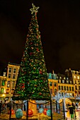 France, Nord, Lille, Christmas decorations and illuminations on the Place du Général de Gaulle