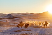 China, Inner Mongolia, Hebei Province, Zhangjiakou, Bashang Grassland, Mongolian horsemen lead a troop of horses running in a meadow covered by snow