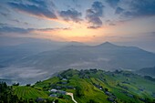 Vietnam, Ha Giang, Hoang Su Phi, a La Chi erthnic group village among rice fields in terrace