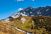 France, Haute Savoie, Mont Blanc Massif, Contamines Montjoie, in the nature réserve the Jovet stream and Mount Tondu