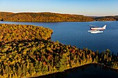 Canada, Province of Quebec, Mauricie region, flight with the company Hydravion Adventure in the Indian summer period, Cessna 206 over the boreal forest in the vicinity of Lake Sacacomie (aerial view)