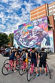 Canada, Quebec province, Montreal, the Plateau-Mont-Royal district, the MURAL urban art festival, work by Pichiavo duo of Spanish artists, guided tour of tourists by bicycle