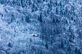 Frankreich, Savoyen, Saint Oyen, Massif de la Vanoise, Tarentaise-Tal, einsames Chalet im Wald