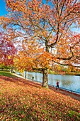 France, Paris, the Bois de Boulogne in autumn, lower lake