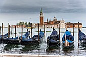 Italy, Veneto, Venice, gondolas at quay at the end of St. Mark's Square and the Church of St. George Major