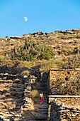 Greece, Cyclades archipelago, Andros island, hike number 3 between Chora and Ormos Korthi