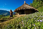 Indien, Arunachal Pradesh, Wakka, Dorf des Wancho-Naga-Stammes