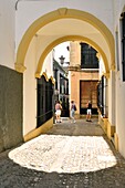 Spain, Andalusia, Malaga Province, Ronda, white villages road (Ruta de los Pueblos Blancos)