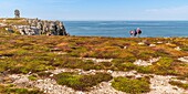 France, Finistère (29), Cornouaille, Crozon Peninsula, Camaret-sur-Mer, Pen-Hir Point in the Iroise Sea