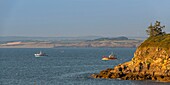 Frankreich, Finistere (29), Cornouaille, Douarnenez, Insel Tristan, der Hafen von Tréboul und die Bucht von Douarnenez, Trawler unterwegs