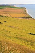 Frankreich, Pas de Calais, regionaler Naturpark der Kappen und Sümpfe von Opal, Escalles, Blick auf Cap Blanc Nez am Cran d'Escalles