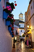 Spain, Andalusia, Costa del Sol, Malaga province, Marbella, Old Town, Castillo Alcazaba and Iglesia de Nuestra Señora de la Encarnacion church