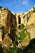 Spain, Andalusia, Malaga Province, Ronda, white villages road (Ruta de los Pueblos Blancos), perched village on a rocky spur and the Puente Nuevo (New Bridge)