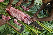 Papua-Neuguinea, Provinz Ost-Sepik, Sepik River Region, Dorf Kanganamun, Haus der Geister (Haustambaran) namens Walimbi, Kochen eines Krokodils (Crocodylus novaeguineae)