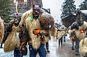 Switzerland, Valais, Evolene valley, Evolene, Carnaval with the Empailles and the Peluches who come from Pagan rites and go around the villages to frighten the bad spirits of winter