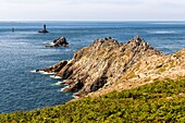 Frankreich, Finistère (29), Cornouaille, Plogoff, Pointe du Raz, felsige Landzunge, die den am weitesten fortgeschrittenen Teil westlich von Kap Sizun bildet, gegenüber dem Iroise-Meer