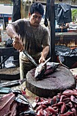 Indonesia, New Guinea island, Papua, Jayapura, fish market