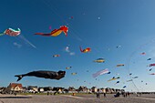 France, Somme, Baie de Somme, Cayeux-sur-mer, Festival of kites along the path of boards and beach huts