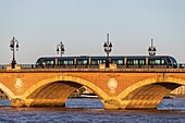 France, Gironde, Bordeaux, area classified as World Heritage by UNESCO, tram of the TBM network on the Pont de Pierre over the Garonne, brick and stone arch bridge inaugurated in 1822