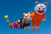 France, Somme, Baie de Somme, Cayeux-sur-mer, Festival of kites along the path of boards and beach huts