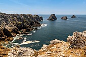 France, Finistère (29), Cornouaille, Crozon Peninsula, Camaret-sur-Mer, Pen-Hir Point in the Iroise Sea, a string of islets and reefs, the Tas de Pois, vestiges of the original cliff extend the tip