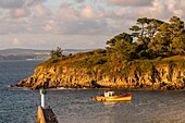 Frankreich, Finistere (29), Cornouaille, Douarnenez, die Insel Tristan, der Hafen von Tréboul und die Bucht von Douarnenez