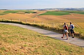 Frankreich, Pas de Calais, Escalles, Cap Blanc Nez (mit dem Prädikat Grand Site de France ausgezeichnet und Teil des regionalen Naturparks Capes et Marais d'Opale), Wanderer auf dem Blanc Nez Pfad