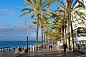 Spain, Andalusia, Costa del Sol, Malaga Province, Marbella, seafront along the beach