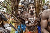 Indonesia, Papua, Asmat district, Per village, pole ceremony