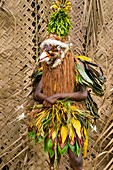 Papua New Guinea, Gazelle peninsula, New Britain island, East New Britain province, Rabaul, Kokopo, National Mask Festival, members a sing-sing group dressed like birds