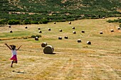 France, Ardeche, Parc Naturel des Monts d'Ardeche, Montselgues, hay bale