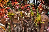 Papua New Guinea, Simbu Province, Kagaï village, Pagau tribe, traditional party called sing-sing